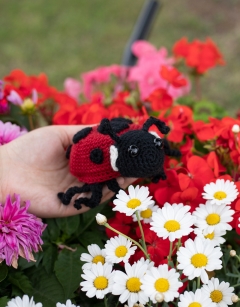Ava the Ladybird Kit