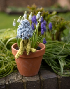 Mini Muscari Kit