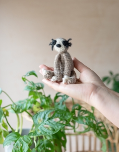 Mini Harriet the Sloth Kit