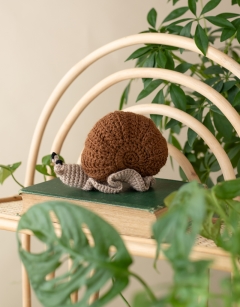 Otis the Snail Kit