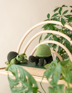 Mini Tortoises Kit