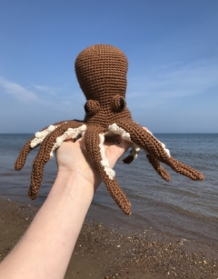 Graeme the Octopus 