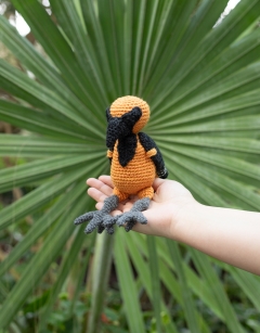 Santiago the Altamira Oriole