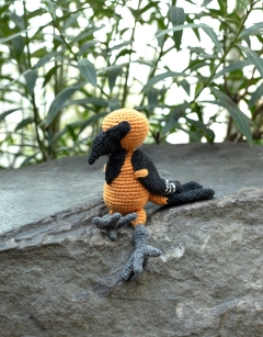 Santiago the Altamira Oriole