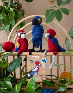 Tropical Trio of Parrots