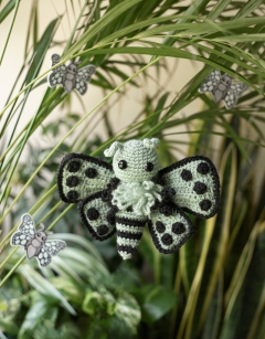 Cordelia the Pierrot Butterfly