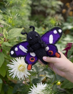 Angelo the Purple Emperor Butterfly