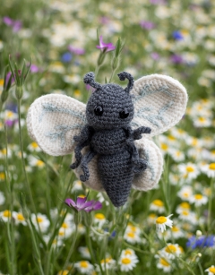 Rosalind the Veined White Butterfly