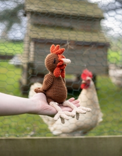 Farmyard Brood