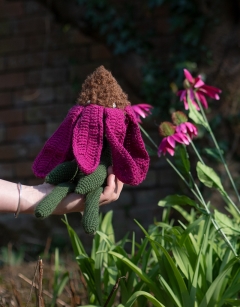 Echinacea Kit