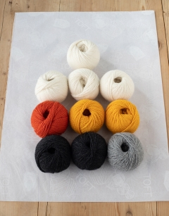 Seabird Flock