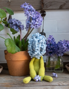 Hyacinth Kit