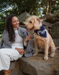 Pet Bandana