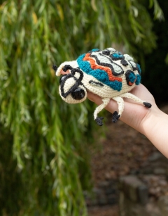 Johan the Picasso Bug
