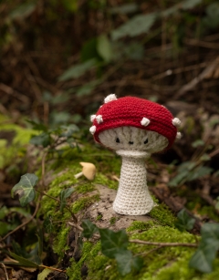 Toadstool Kit