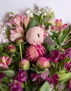 Aria the Pink-Headed Warbler