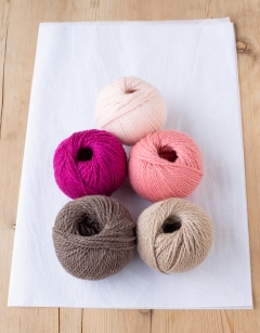 Aria the Pink-Headed Warbler