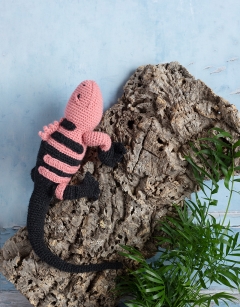 Fitzroy the Pink Land Iguana