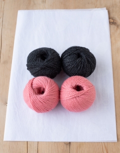 Fitzroy the Pink Land Iguana