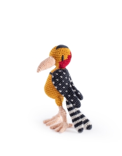 Levi the Red And Yellow Barbet