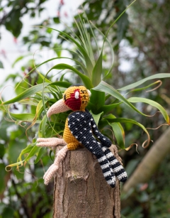 Levi the Red And Yellow Barbet