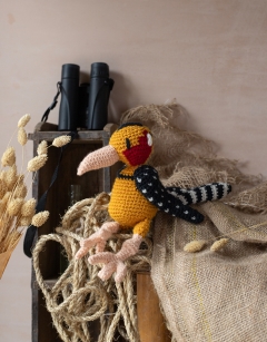Levi the Red And Yellow Barbet