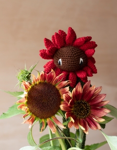 Red Sunflower Kit