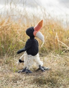 Nor the Rhinoceros Hornbill