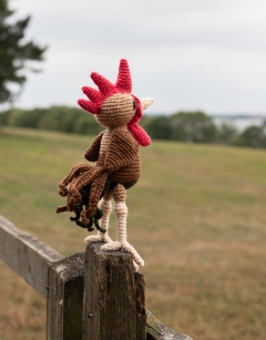 Kit the Rooster