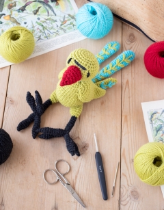 Remi the Rose-Ringed Parakeet