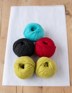 Remi the Rose-Ringed Parakeet