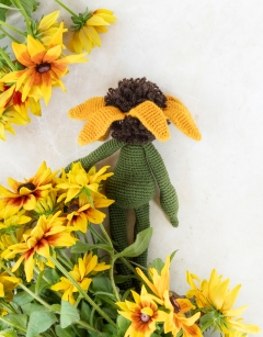 Rudbeckia Kit