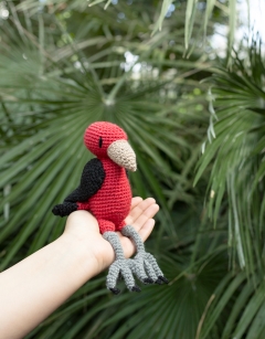 Harkin the Summer Scarlet Tanager 