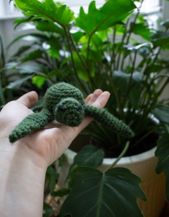 Mini Kat the Turtle