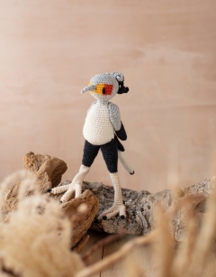 Lee the Secretary Bird