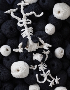 Magdalena the Cat Skeleton