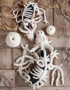 Fantasma the Dragon Skeleton