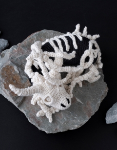 Fantasma the Dragon Skeleton