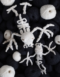 Large Bat Skeleton