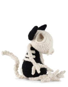 Large Cat Skeleton