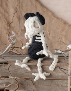 Large Cat Skeleton