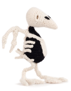 Large Raven Skeleton