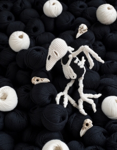 Poe the Raven Skeleton