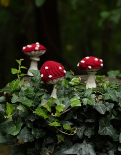 Small Toadstool Bundle