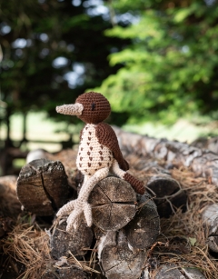 Adele the Song Thrush