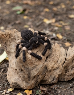 Mini Tara the Tarantula
