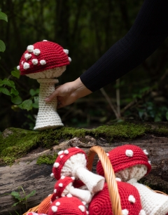 Giant Cap Toadstool