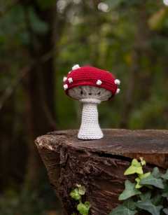 Toadstool Kit