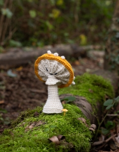 Sporing Toadstool