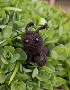 Tennyson the Ant